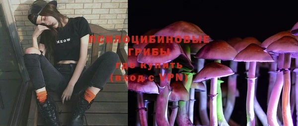 дурь Белокуриха