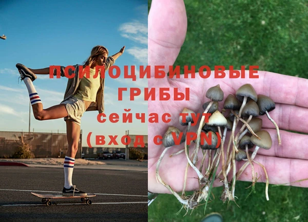 а пвп мука Богданович