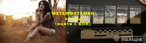 крисы Бородино