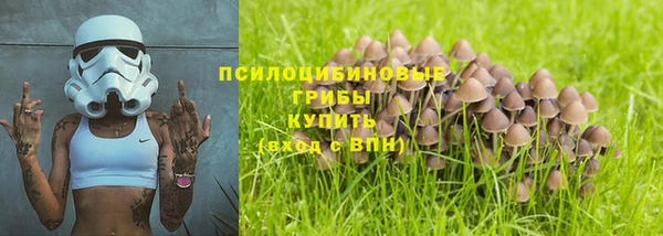 а пвп мука Богданович