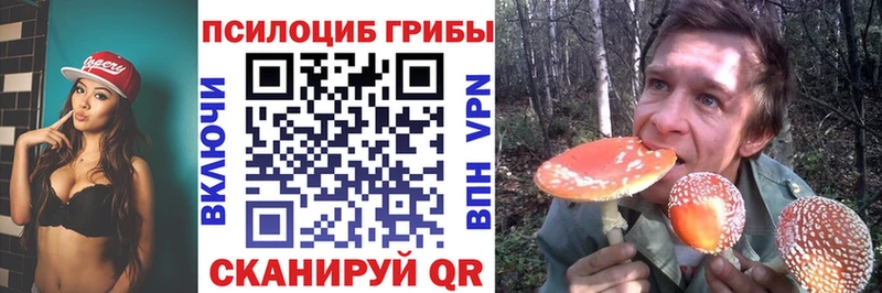 Псилоцибиновые грибы Cubensis  Бутурлиновка 